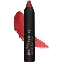 CAMALEON BASIC COLOURSTICK TERRA 4 GR