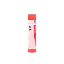 Boiron Graphites 7 Ch Granulos 1 Ud