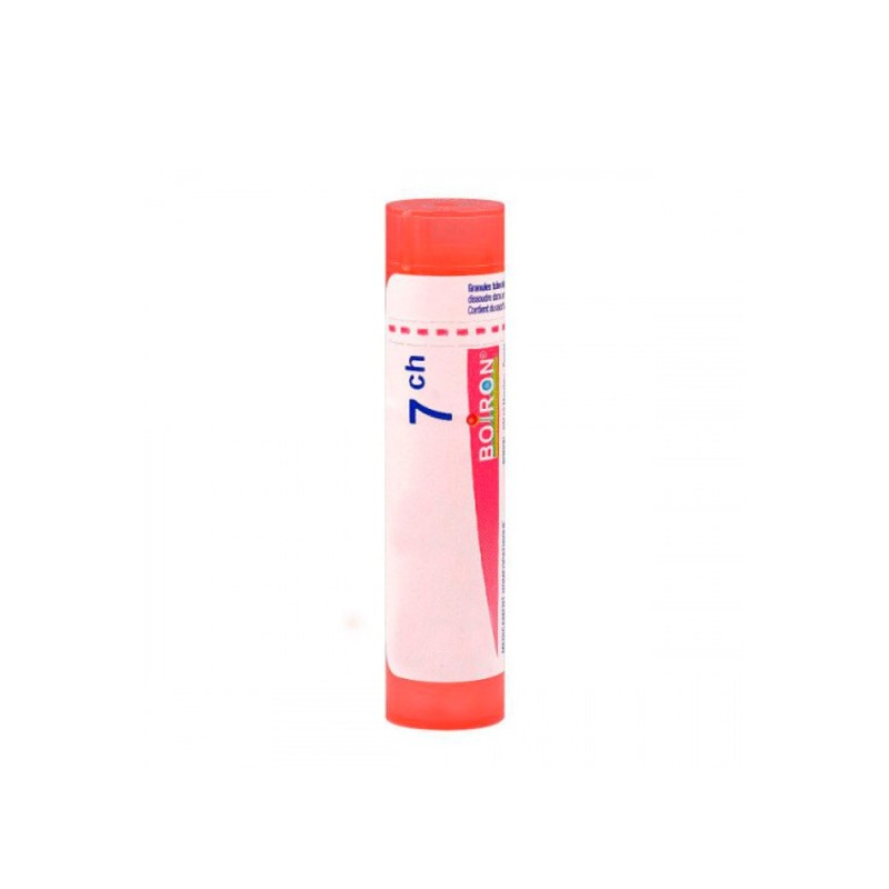 Boiron Graphites 7 Ch Granulos 1 Ud