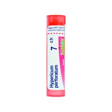 Boiron Hypericum Perforatum C7 Globulos 4 GR