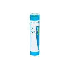 Boiron Hypericum Perforatum C9 Globulos 4 GR