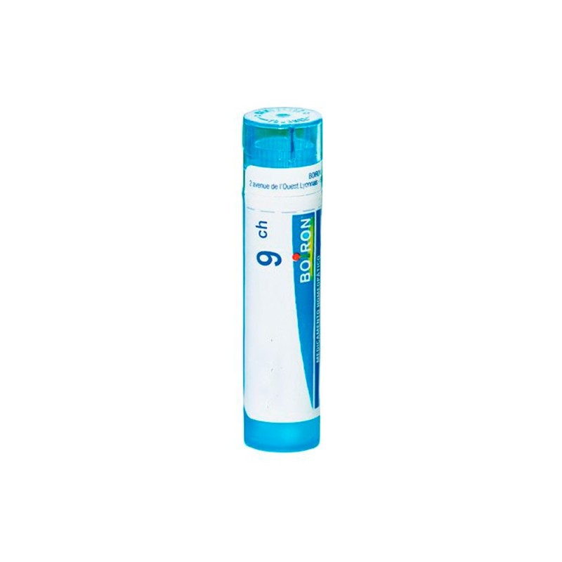 Boiron Hypericum Perforatum C9 Globulos 4 GR