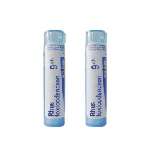 Boiron Rhus Toxicodendron C9 Globulos 2x4 GR