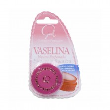 Gal Vaselina Hidrata Tus Labios 13 ML