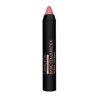 Camaleon Basic Colourstick Nude Beige 4 g