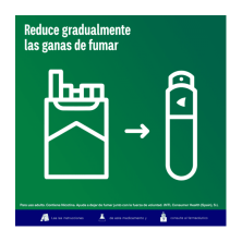 Duplo Nicorette BucoMist 1 mg | Dejar de fumar