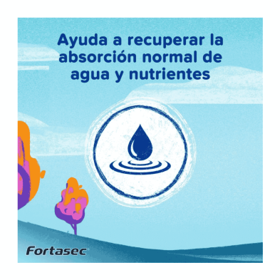 Fortasec 2 mg 20 cápsulas | Antidiarreico