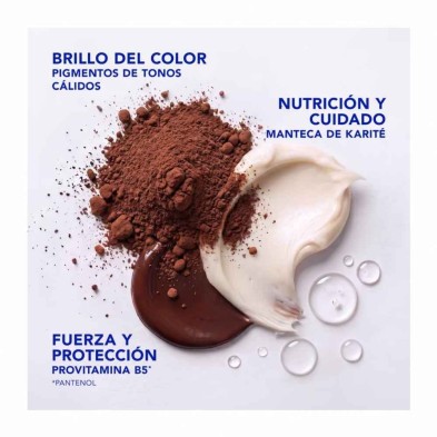 Phyto Color Gloss Castaño Cálido 200 ml | Reaviva el color