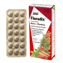Floradix 84 Comprimidos