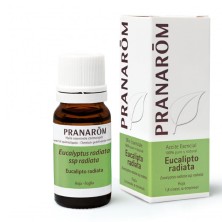 Pranarom Aceite Esencial Eucalipto Radiata 10 ML