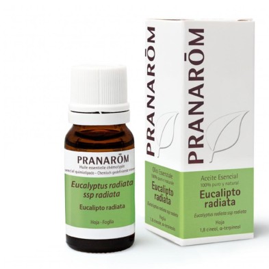 Pranarom Aceite Esencial Eucalipto Radiata 10 ML