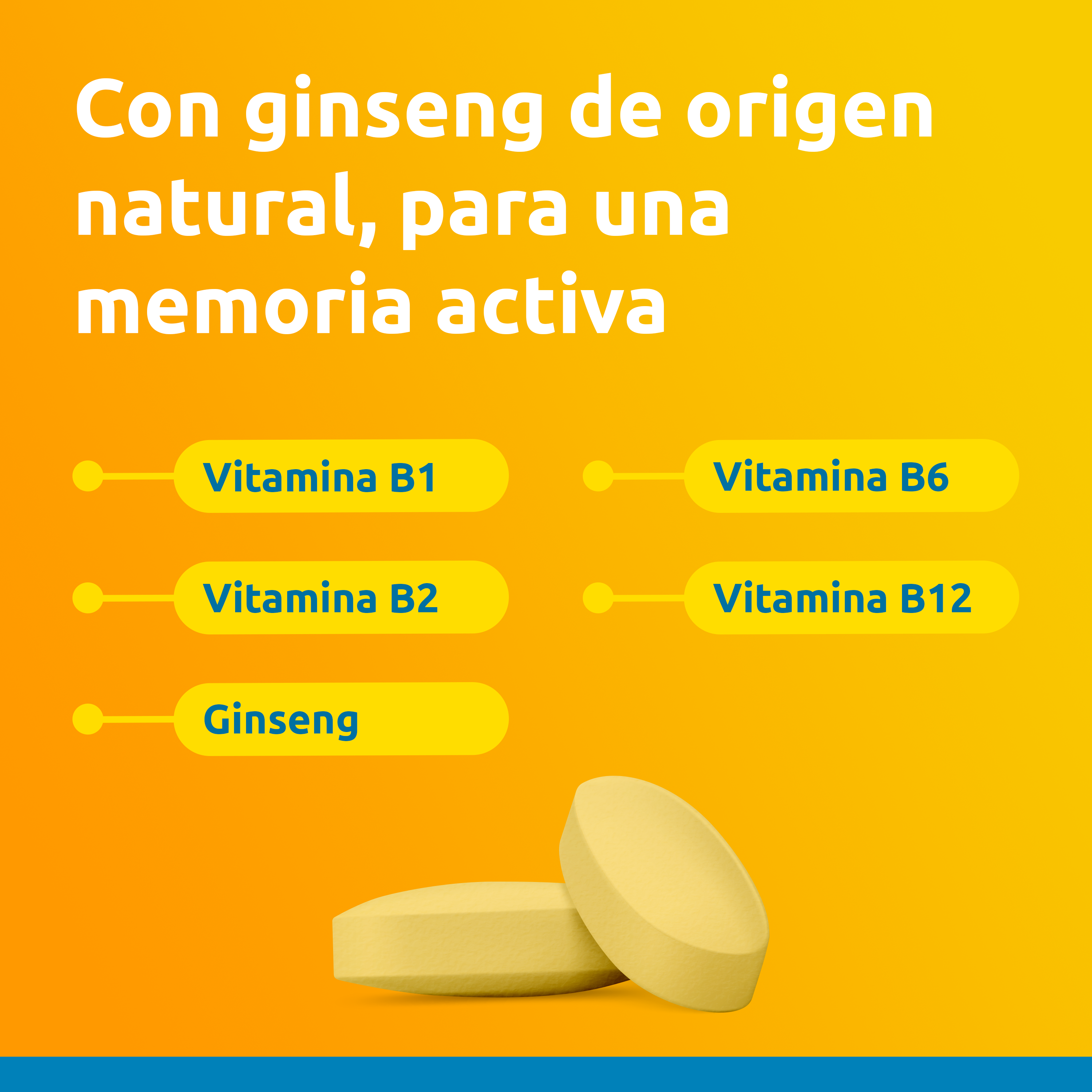 supradyn memoria 50+