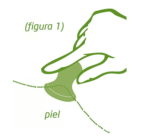 weleda